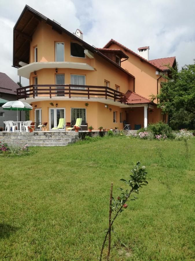 Гостевой дом Villa Tamara Бран-4