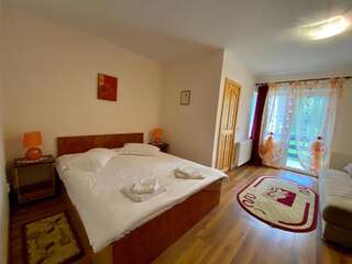Гостевой дом Villa Tamara Бран Стандартный двухместный номер с 1 кроватью-4