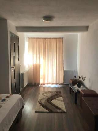 Гостевой дом Villa Tamara Бран Стандартный двухместный номер с 1 кроватью-5