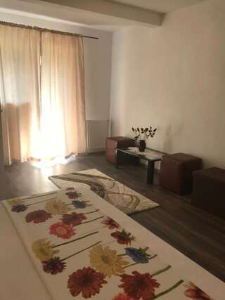 Гостевой дом Villa Tamara Бран Стандартный двухместный номер с 1 кроватью-6