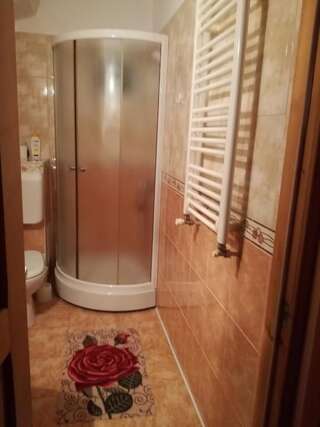 Гостевой дом Villa Tamara Бран Апартаменты с 2 спальнями-4