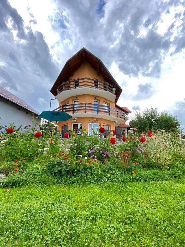 Гостевой дом Villa Tamara Бран-10